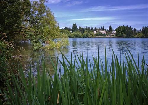 This photo about Phinney Suites - One Bedroom Apartment shared on HyHotel.com