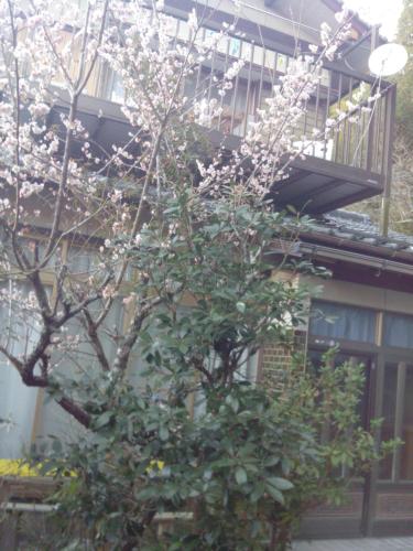 raibrasil guest house in Sanuki raibrasil guest house in Sanuki