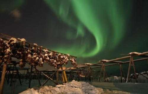 Lofoten - Høynes in เลกเนส Lofoten - Høynes in เลกเนส