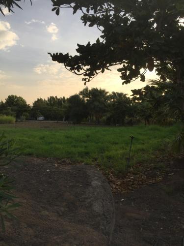 Revaloo farm (Family Only) in Dhaid Revaloo farm (Family Only) in Dhaid