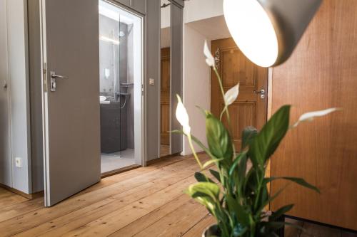 das asam in Aldersbach das asam in Aldersbach