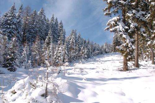 Alrededores, Verditzhütte (Verditzhutte) in Treffen Am Ossiacher See Alrededores, Verditzhütte (Verditzhutte) in Treffen Am Ossiacher See