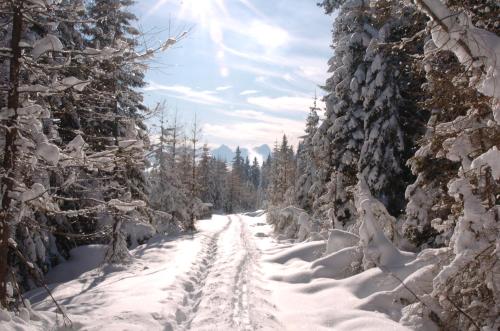 Alrededores, Verditzhütte (Verditzhutte) in Treffen Am Ossiacher See Alrededores, Verditzhütte (Verditzhutte) in Treffen Am Ossiacher See