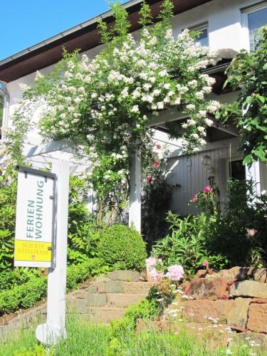 Entrance, Ferienwohnung Drehwald in Rinnthal Entrance, Ferienwohnung Drehwald in Rinnthal