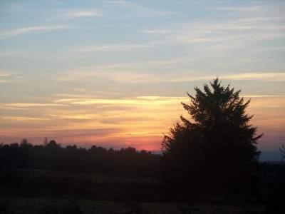 This photo about Abalone guest house Bed and Breakfast shared on HyHotel.com