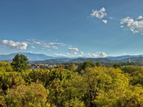 在meiguo.com看到的Music Road Resort的介绍图片