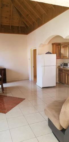 Wizzy Apartment in Ocho Rios Wizzy Apartment in Ocho Rios