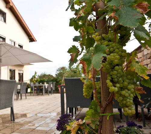 Jardín, Weingut Sandwiese Winzerhotel in Worms Jardín, Weingut Sandwiese Winzerhotel in Worms