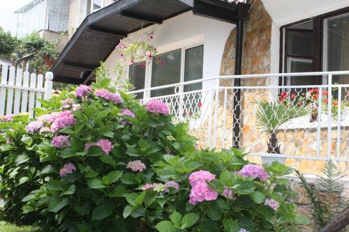 Apartamentos Andro Apartments