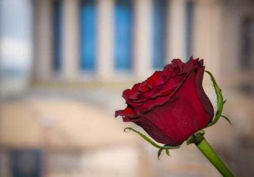 This photo about Il Duomo Relais shared on HyHotel.com