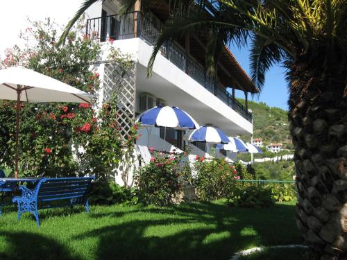 Bejárat, Skiathos Studios Panorama in Vassilias - Ftelia Bejárat, Skiathos Studios Panorama in Vassilias - Ftelia