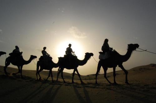 Luxury oasis camp in Merzouga Luxury oasis camp in Merzouga