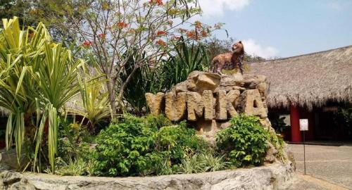Attractions, Hotel & Suites Real del Lago in Adolfo Lopez Mateos Attractions, Hotel & Suites Real del Lago in Adolfo Lopez Mateos