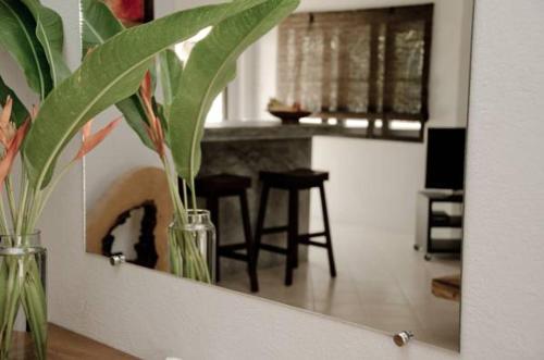 チャリサ ヴィラス13