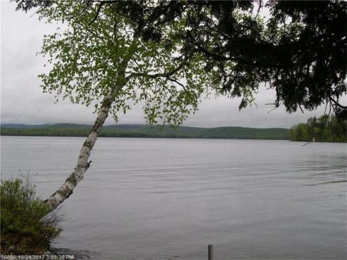 在meiguo.com看到的慵懒II公寓的介绍图片