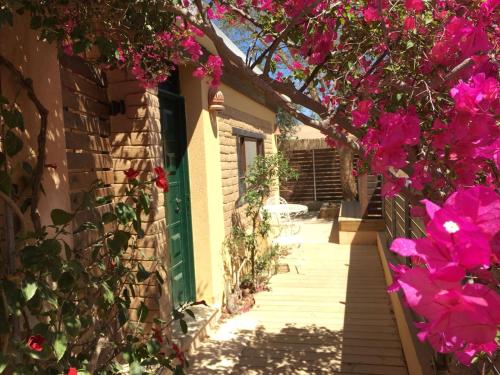 Out of the Wilderness in Sde Boker Out of the Wilderness in Sde Boker