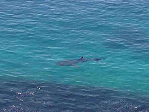 This photo about Jaynet Oceanview Resort shared on HyHotel.com