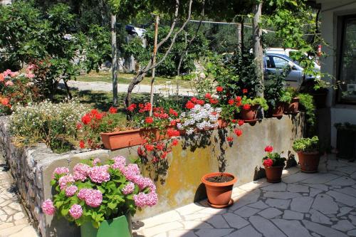 Hotel Double Room Sladjenovici 2161f