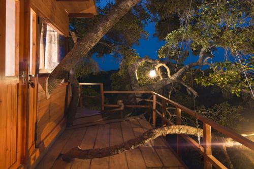 Balcony/terrace, Leopard Nest - Glamping in Yala in Yala Balcony/terrace, Leopard Nest - Glamping in Yala in Yala