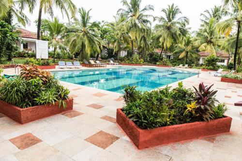 Swimming pool, Shikara Beach Resort near Betul Beach Swimming pool, Shikara Beach Resort near Betul Beach