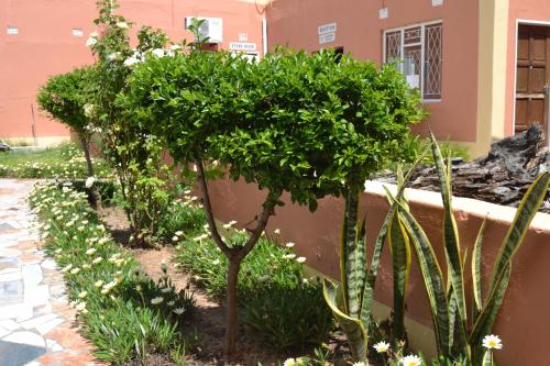 Cerca de lugares turísticos, Seelo Guest Accommodation in Letlhakane Cerca de lugares turísticos, Seelo Guest Accommodation in Letlhakane