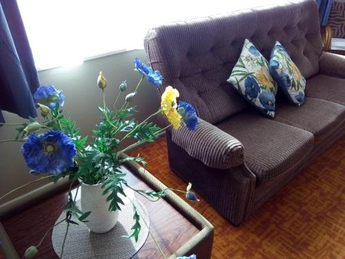 เรดวูด ลอดจ์ โมเต็ล (Redwood Lodge Motel) in เลวิน เรดวูด ลอดจ์ โมเต็ล (Redwood Lodge Motel) in เลวิน