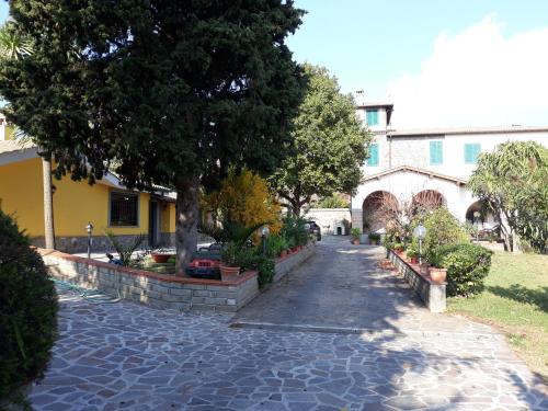 La Camelia B&B in เวลเลตรี La Camelia B&B in เวลเลตรี