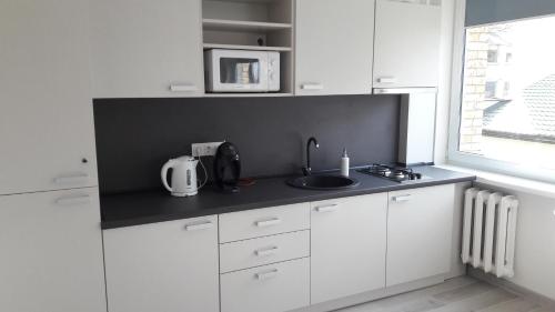 廚房, Anykščiai Center Apartment (Anyksciai Center Apartment) in 阿尼克斯奇艾 廚房, Anykščiai Center Apartment (Anyksciai Center Apartment) in 阿尼克斯奇艾