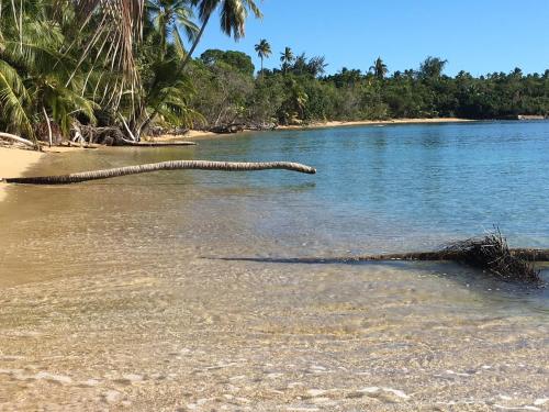 ชายหาด, Vieques Good Vibe Guest House in บีเกส ชายหาด, Vieques Good Vibe Guest House in บีเกส