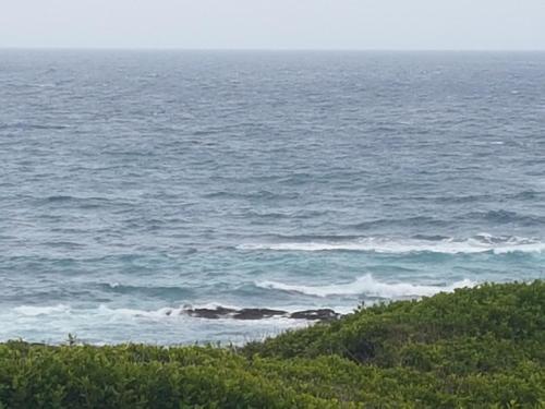 plaża, Marine48 Self-catering Port Elizabeth in Schoenmakerskop plaża, Marine48 Self-catering Port Elizabeth in Schoenmakerskop