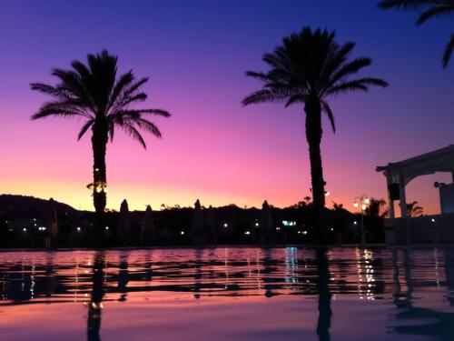 This photo about Dan Panorama Eilat shared on HyHotel.com