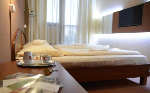 Hotel Minerva in Mosonmagyaróvár Hotel Minerva in Mosonmagyaróvár