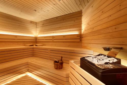 Spa, Grand Apartments Spindleruv Mlyn in Spindleruv Mlyn Spa, Grand Apartments Spindleruv Mlyn in Spindleruv Mlyn