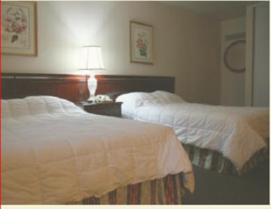Bed, Caravelle Inn & Suites in San Jose (CA) Bed, Caravelle Inn & Suites in San Jose (CA)