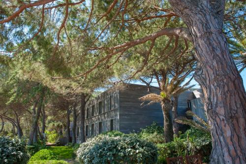 This photo about Hotel Moby Dick shared on HyHotel.com