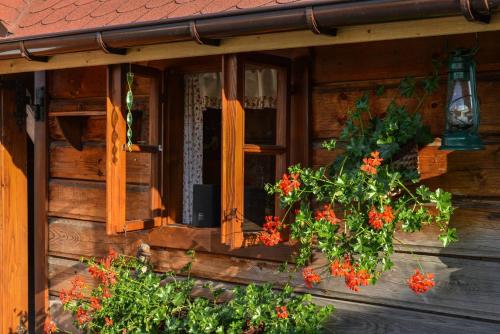 Exterior view, Stanica Hucul in Bielsko-Biala Exterior view, Stanica Hucul in Bielsko-Biala