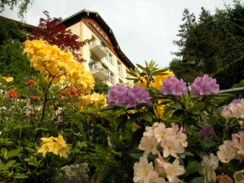 Hotel Alpenblick, Bad Gastein Hotel Alpenblick, Bad Gastein