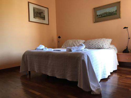 This photo about Le Finestre sul Vaticano shared on HyHotel.com