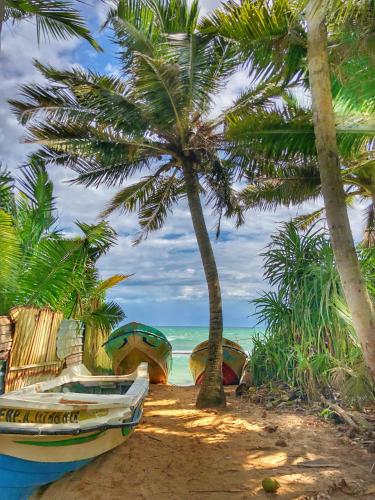 ビーチ, タートル エコ ビーチ (Turtle Eco Beach Houses) in マータラ ビーチ, タートル エコ ビーチ (Turtle Eco Beach Houses) in マータラ