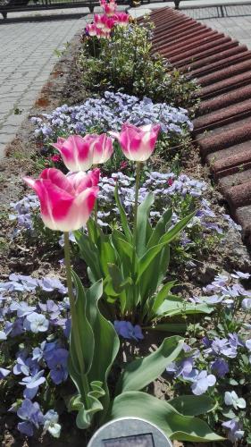 This photo about Annamaria Apartmenthouse shared on HyHotel.com