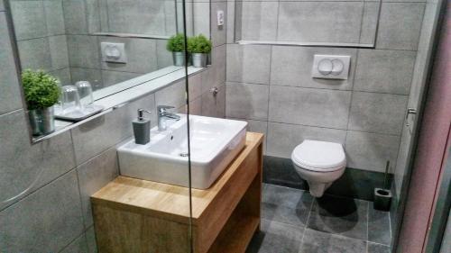Arhiv Boutique House in Novi Sad Arhiv Boutique House in Novi Sad