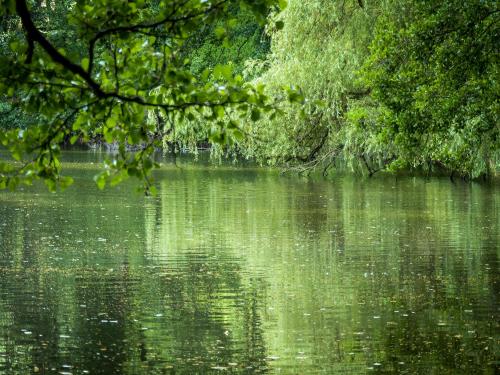 Surrounding environment, Gastehaus Chorin in Chorin Surrounding environment, Gastehaus Chorin in Chorin