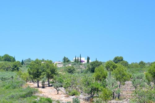 The Little Castle in El Perelló (Catalonia) The Little Castle in El Perelló (Catalonia)