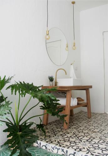 This photo about Casa del Pavo Real Boutique Hostel shared on HyHotel.com