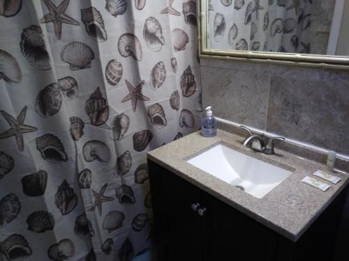 在meiguo.com看到的Siesta Motel and Surfside Cabanas的介绍图片