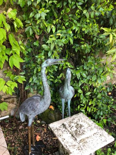 This photo about Locanda Agli Angeli shared on HyHotel.com