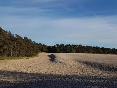 Surrounding environment, Excellent 21 in Soesterberg Surrounding environment, Excellent 21 in Soesterberg