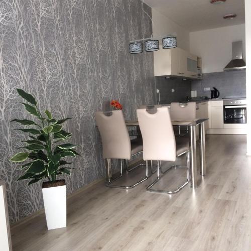 Apartman Trebon c. 1 in Trebon City Center Apartman Trebon c. 1 in Trebon City Center