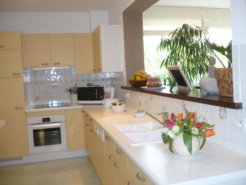 Konyha, Appartement Le Jardin in Lingolsheim Konyha, Appartement Le Jardin in Lingolsheim