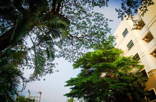 バーン ボーナナン7